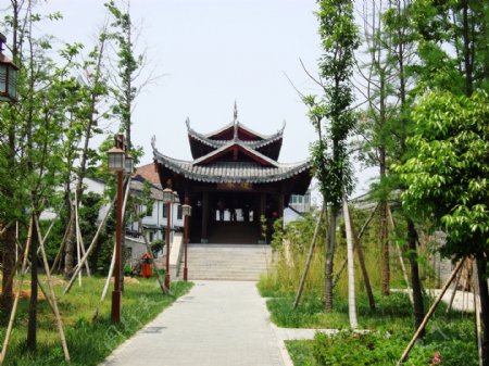 温州生态园一景图片