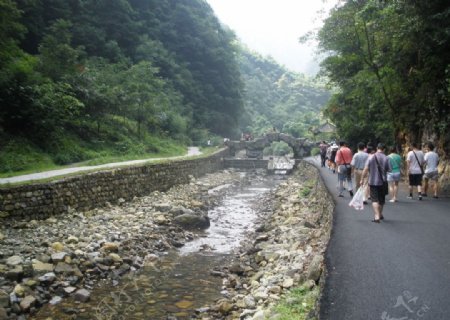 重庆南川神龙峡图片