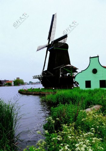 荷兰风情图片