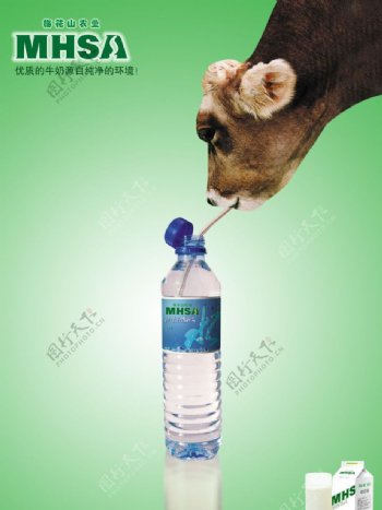 梅花山牛奶广告图片