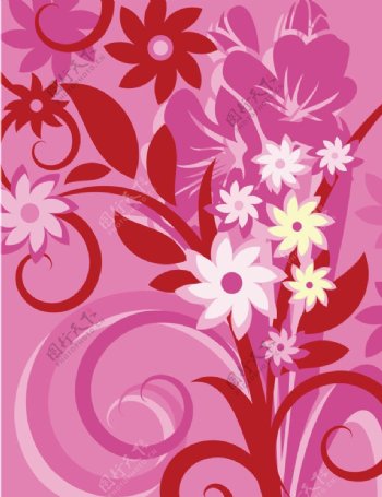 墙纸花卉设计图片