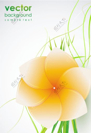 花卉图案背景设计图片
