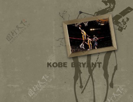 科比Kobe图片