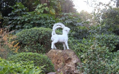 山羊雕像图片