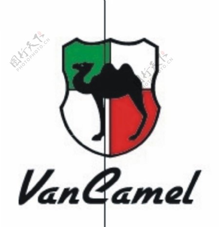 VanCamel骆驼图片