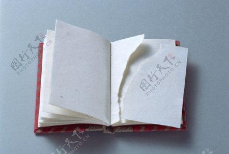 一本书记事本被撕裂的书图片
