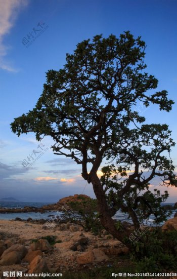 蜈支洲岛夜景图片
