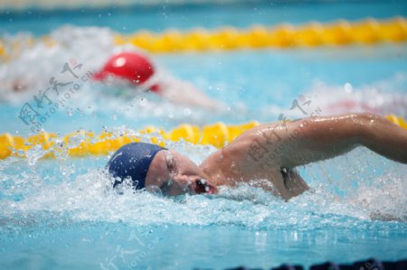 运动员在游泳比赛图片
