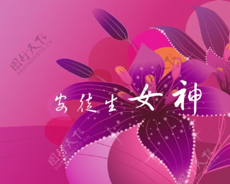 手绘紫荆花图片