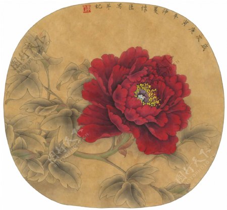 李怀臣高清工笔紫红牡丹团扇图片
