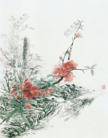 国画花卉图片