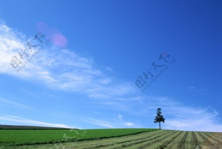 蓝天白云田园风景图片
