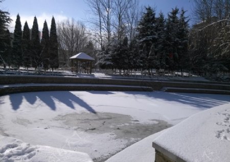湖泊雪景图片