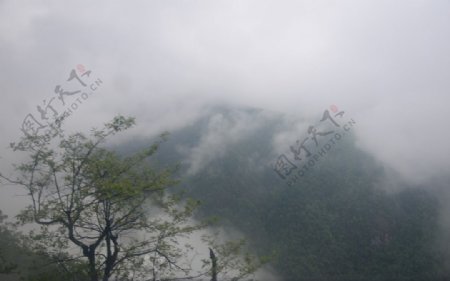 远山云雾图片