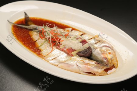 金汤江时鱼图片
