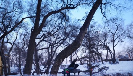哈尔滨冬季图片