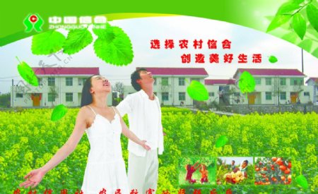 中国信合广告珍藏版图片