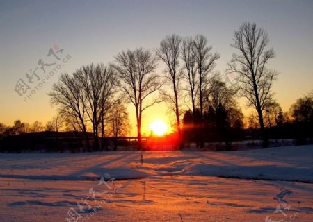 冬日暖阳图片