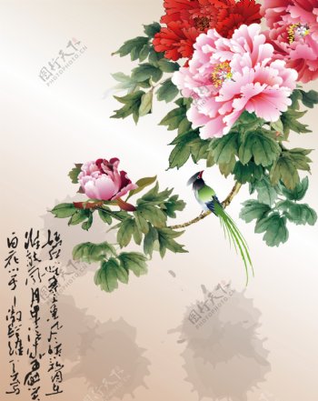 花卉国画图片