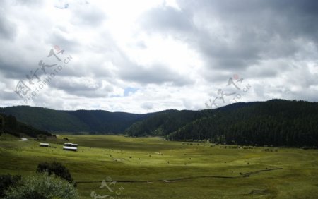 丽江普达措国家公园图片