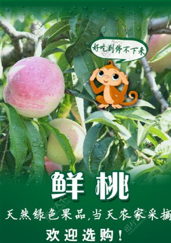 水果桃子宣传海报图片