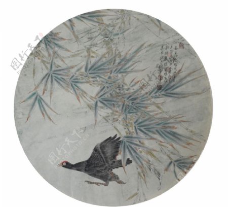中国画花鸟扇面作品图片