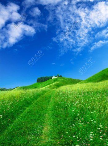 蓝天绿草背景图片