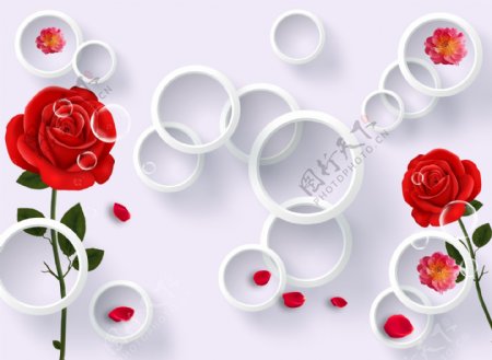3D圆圈玫瑰背景墙图片