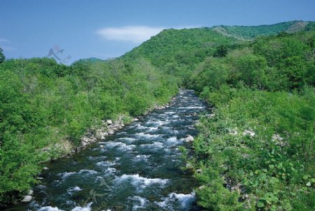 四季景观图片