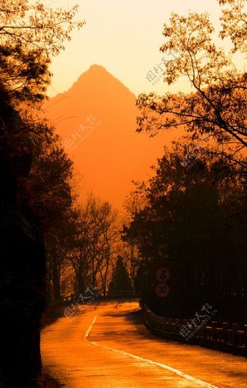 黄昏中的金色山路图片