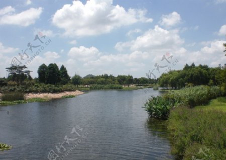 辰山植物园湖面图片