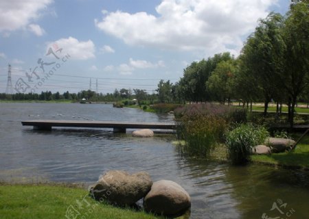 辰山植物园水边图片