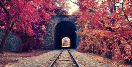 隧道美丽风景图片