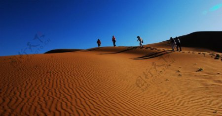 沙漠旅途图片