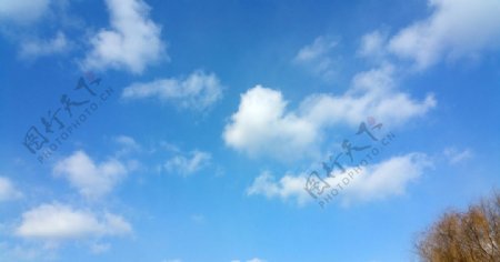 冬日的蓝天白云图片
