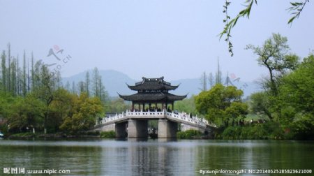 杭州春色一景图片