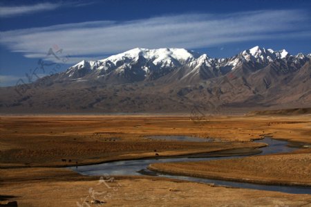 慕士塔格峰与金草滩图片