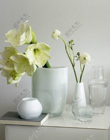 宫人草玻璃和白瓷花瓶图片