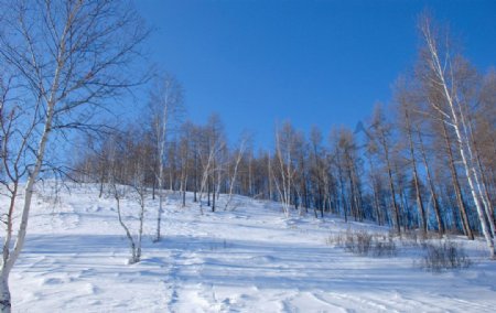 五峰山冬天雪景图片