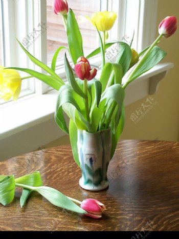 花瓶与郁金香1图片
