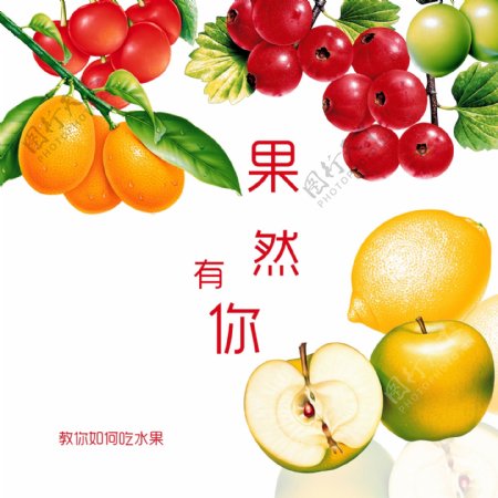 水果画册封面图片