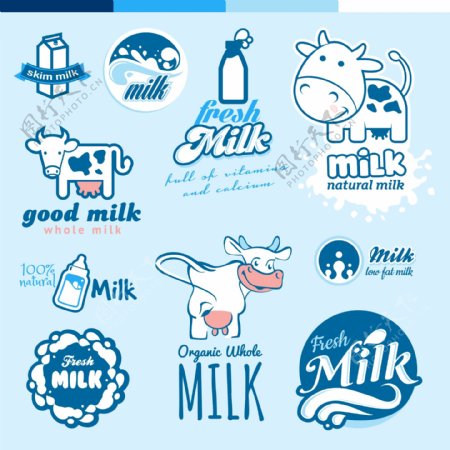 奶牛奶花图片