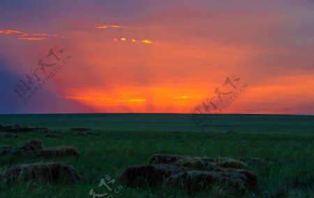草原清晨图片