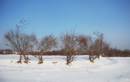 南坝外雪景图片