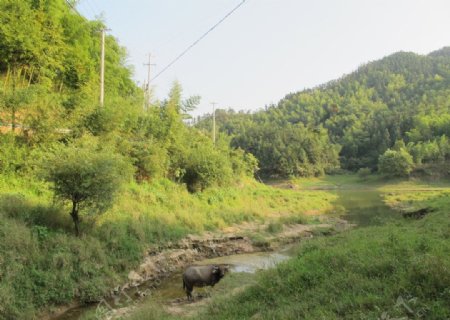 山村风景图片