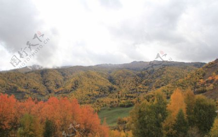 秋景摄影图片
