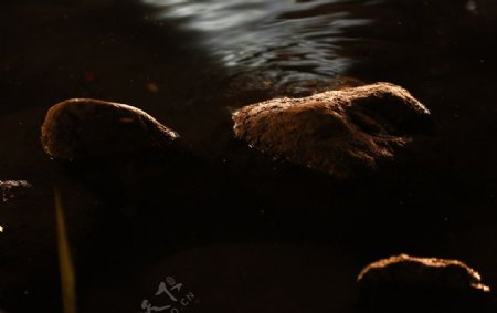 夜色石头图片