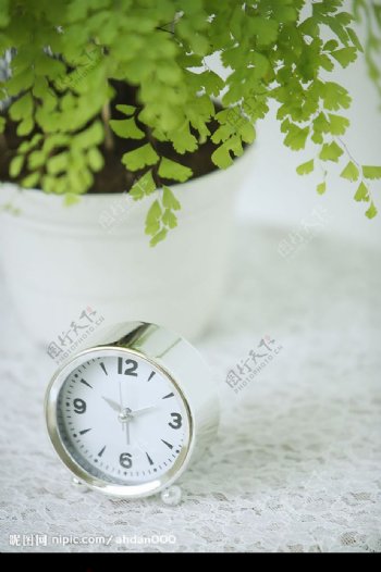 生活静物绿色植物和钟图片