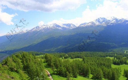 雪山草地图片