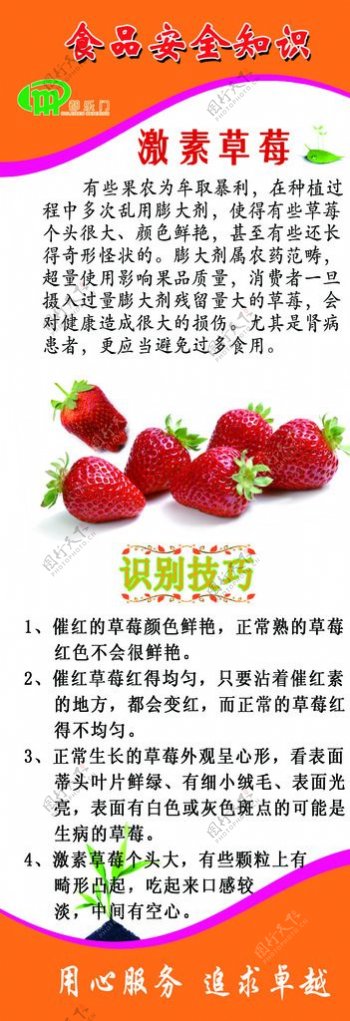激素草莓图片